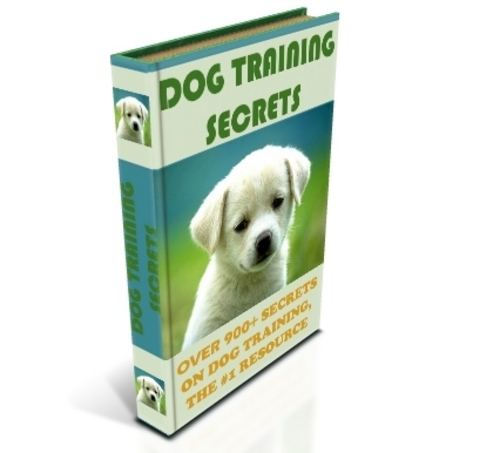 Product picture OVER 900+ DOG TRAINING SECRETS, THE #1 RESOURCE!